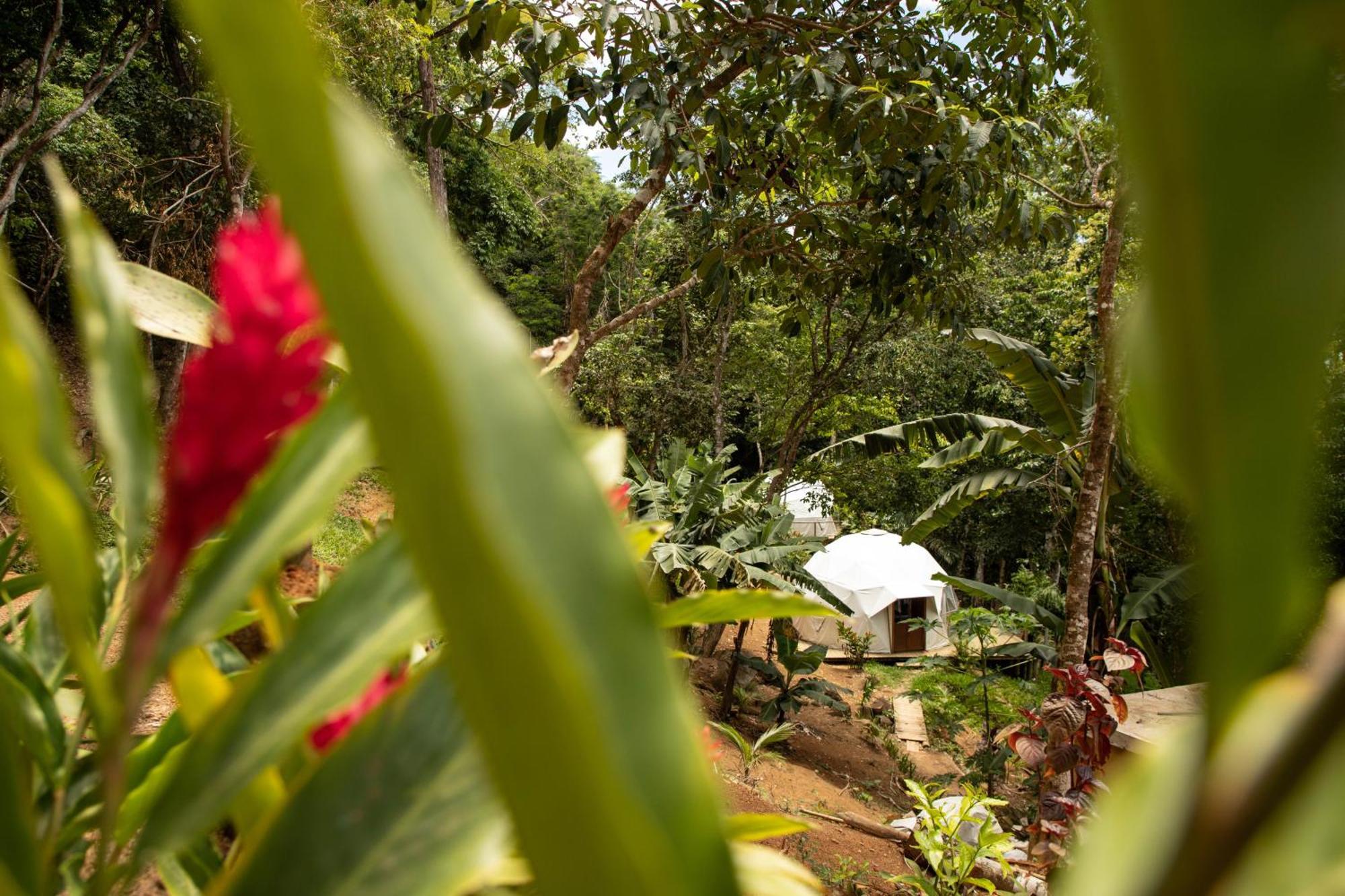 Glamping Sitio Das Tartarugas Angra dos Reis Exterior foto
